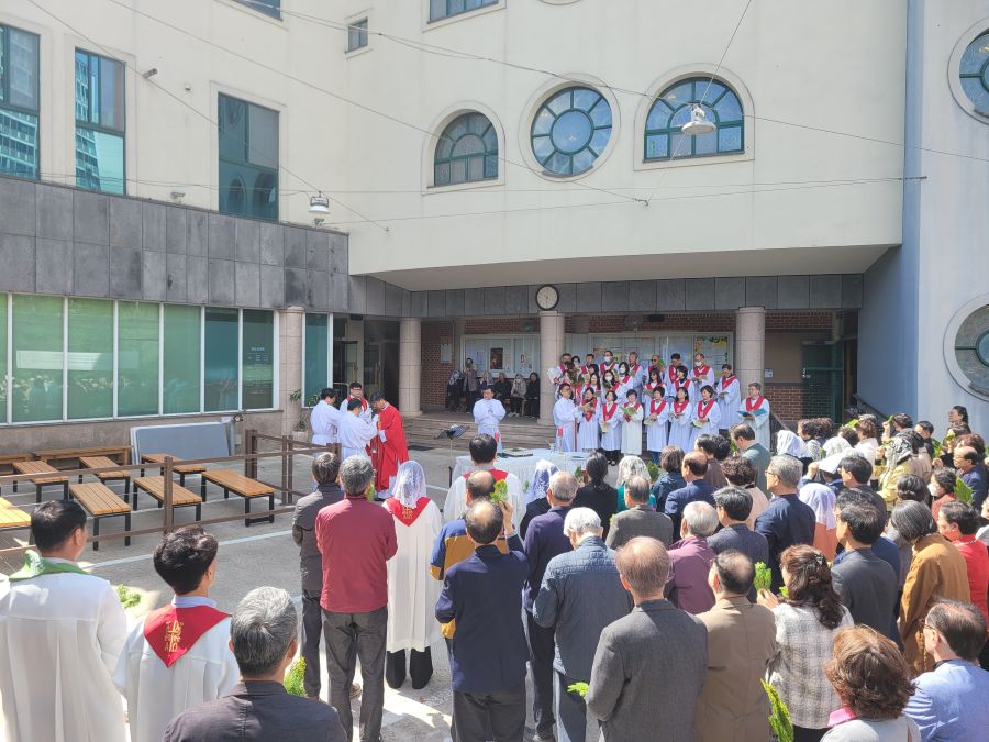 20250413주님수난성지주일5.jpg